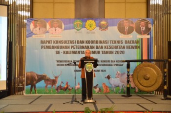 Lahan Luas, Gubernur Isran Sebut Kaltim Potensial Kembangkan Sapi-Kerbau Program SIKOMANDAN.