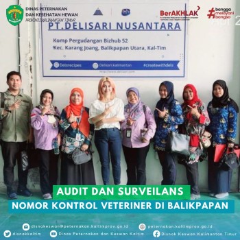 Audit dan Surveilans Nomor Kontrol Veteriner di Balikpapan