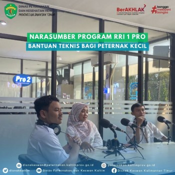 Narasumber Program RRI 1 Pro Bantuan Teknis Bagi Peternak Kecil