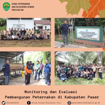 Monitoring dan Evaluasi Pembangunan Peternakan di Kabupaten Paser 
