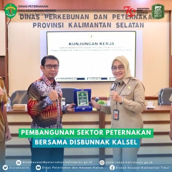 Pembangunan Sektor Peternakan Bersama DISBUNNAK Kalsel