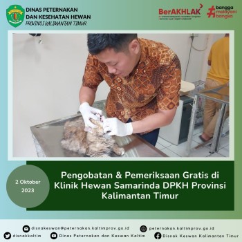 Pengobatan & Pemeriksaan Gratis di Klinik Hewan Samarinda DPKH Provinsi Kalimantan Timur