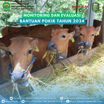 Monitoring dan Evaluasi Bantuan Pokir Tahun 2024