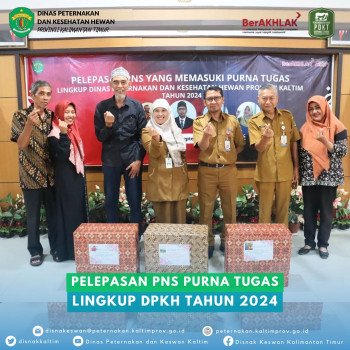 Pelepasan PNS Purna Tugas Lingkup DPKH Tahun 2024