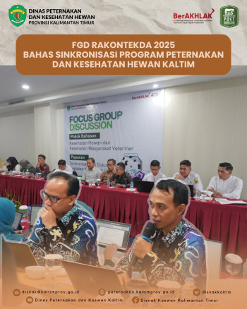 FGD RAKONTEKDA 2025 Bahas Sinkronisasi Program Peternakan dan Kesehatan Hewan Kaltim