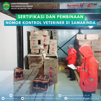 Sertifikasi dan Pembinaan Nomor Kontrol Veteriner (NKV) di Samarinda