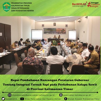 Rapat Pembahasan Rancangan Peraturan Gubernur Tentang Integrasi Ternak Sapi pada Perkebunan Kelapa Sawit di Provinsi Kalimantan Timur
