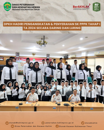 DPKH Hadiri Pengangkatan & Penyerahan SK PPPK Tahap I TA 2024 Secara Daring dan Luring