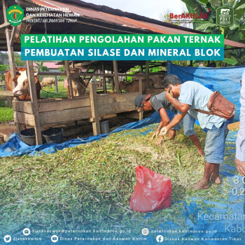 Pelatihan Pengolahan Pakan Ternak Pembuatan Silase dan Mineral Blok