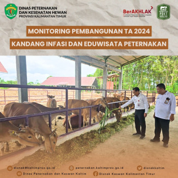 Monitoring Pembangunan TA 2024 Kandang Infasi dan Eduwisata Peternakan