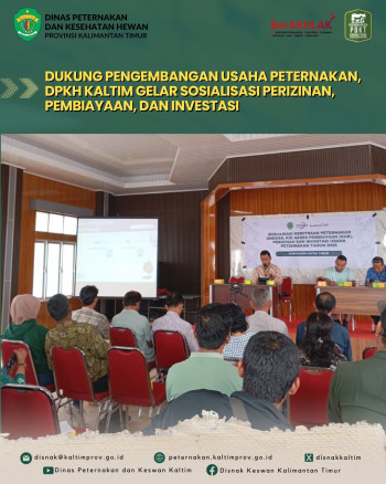 Dukung Pengembangan Usaha Peternakan, DPKH Kaltim Gelar Sosialisasi Perizinan, Pembiayaan, dan Investasi