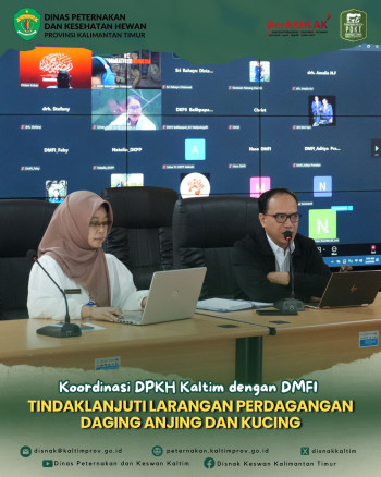 Koordinasi DPKH Kaltim dengan DMFI Tindaklanjuti Larangan Perdagangan Daging Anjing dan Kucing