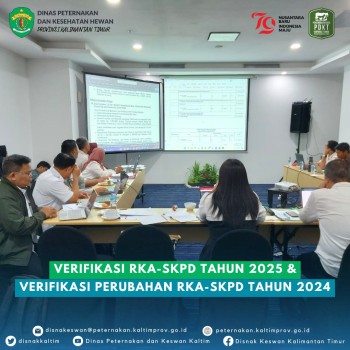 Verifikasi RKA-SKPD Tahun 2025 & Verifikasi Perubahan RKA-SKPD Tahun 2024