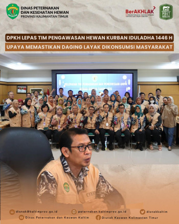DPKH Lepas Tim Pengawasan Hewan Kurban Iduladha 1446 H Upaya Memastikan Daging Layak Dikonsumsi Masyarakat