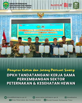 Pemprov Kaltim dan Jateng Perkuat Sinergi, DPKH Tandatangani Kerja Sama Perkembangan Sektor Peternakan dan Kesehatan Hewan
