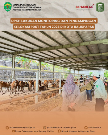 DPKH Lakukan Monitoring dan Pendampingan Ke Lokasi PDKT Tahun 2025 di Kota Balikpapan