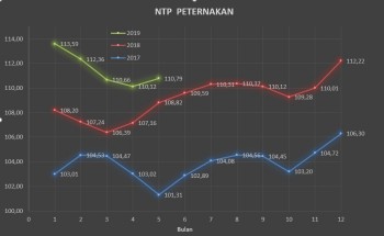 NTP Peternakan Bulan Mei Naik 0,61 % Terhadap Bulan April 2019