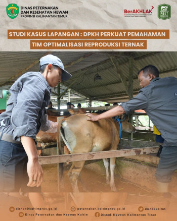 Studi Kasus Lapangan : DPKH Perkuat Pemahaman Tim Optimalisasi Reproduksi Ternak