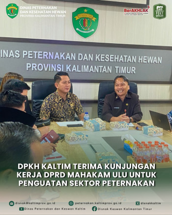 DPKH Kaltim Terima Kunjungan Kerja DPRD Mahakam Ulu untuk Penguatan Sektor Peternakan
