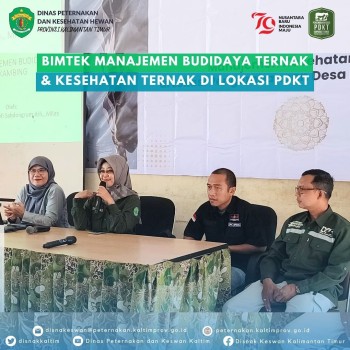 Bimtek Manajemen Budidaya Ternak & Kesehatan Ternak di Lokasi PDKT