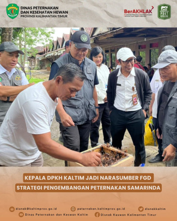 Kepala DPKH Kaltim Jadi Narasumber FGD Strategi Pengembangan Peternakan Samarinda