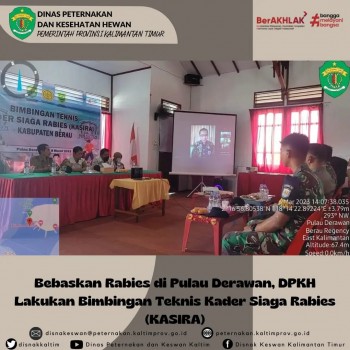 Bebaskan Rabies di Pulau Derawan, DPKH Lakukan Bimbingan Teknis Kader Siaga Rabies (KASIRA)