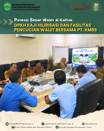 Potensi Besar Walet di Kaltim DPKH Kaji Hilirisasi dan Fasilitas Pencucian Walet Bersama PT.KMBS