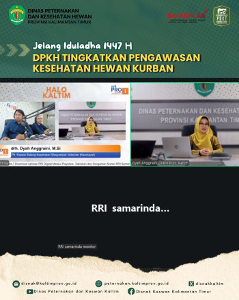 Jelang Iduladha 1447H DPKH Tingkatkan Pengawasan Kesehatan Hewan Kurban