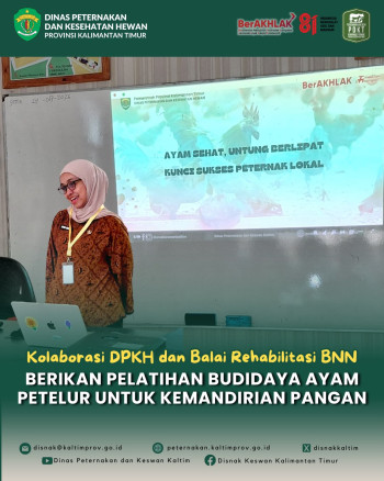 Kolaborasi DPKH Kaltim dan Balai Rehabilitasi BNN Berikan Pelatihan Budidaya Ayam Petelur untuk Kemandirian Pangan