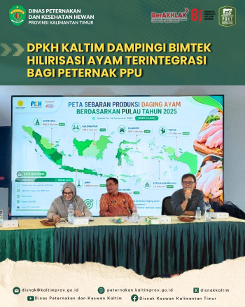 DPKH Kaltim Dampingi Bimtek Hilirisasi Ayam Terintegrasi bagi Peternak PPU