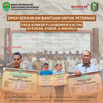 DPKH Serahkan Bantuan Untuk Peternak Pada Kunker Pj. Gubernur Kaltim di Kukar, Kubar dan Mahulu 