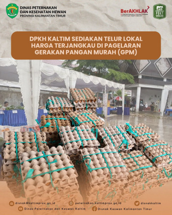 DPKH Kaltim Sediakan Telur Lokal Harga Terjangkau di Pagelaran  Gerakan Pangan Murah (GPM)