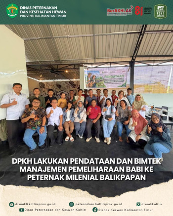 DPKH Lakukan Pendataan dan Bimtek Manajemen Pemeliharaan Babi kepada Peternak Milenial Balikpapan