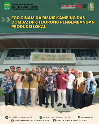 FGD Dinamika Bisnis Kambing dan Domba: DPKH Dorong Pengembangan Produksi Lokal