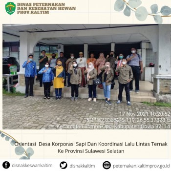 Orientasi Desa Korporasi Sapi Dan Koordinasi Lalu Lintas Ternak ke Provinsi Sulawesi Selatan