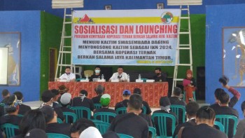 Sosialisasi & Peluncuran Program Kemitraan Koperasi Ternak BSJ