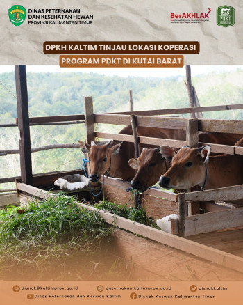 DPKH Kaltim Tinjau Lokasi Pengembangan Desa Korporasi Ternak (PDKT) di Kutai Barat