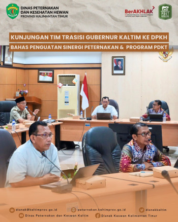 Kunjungan Tim Transisi Gubernur Kaltim ke DPKH Bahas Penguatan Sinergi Peternakan & Program PDKT
