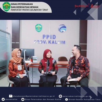 Dinas Peternakan dan Kesehatan Hewan Provinsi Kalimantan Timur (DPKH Kaltim) Edukasi Kesehatan Hewan Qurban