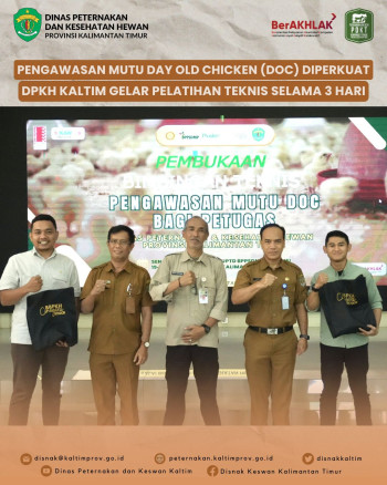 Pengawasan Mutu Day Old Chicken (DOC) Diperkuat, DPKH Kaltim Gelar Pelatihan Teknis Selama 3 Hari