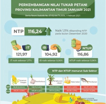 Januari 2021 NTP Peternakan Mengalami Penurunan