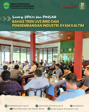 Sinergi DPKH dan PINSAR, Bahas Tren Live Bird dan Pengembangan Industri Ayam Kaltim