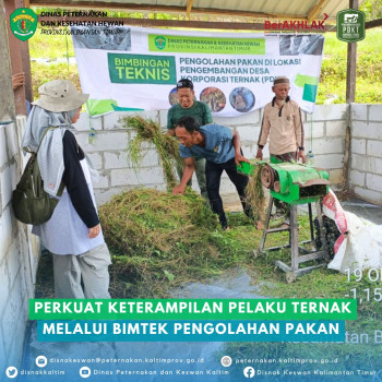 Perkuat Keterampilan Pelaku Ternak Melalui Bimtek Pengolahan Pakan