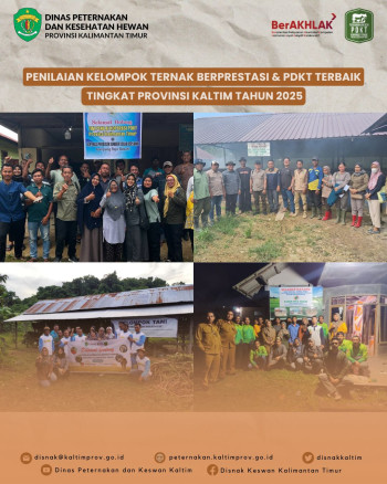 Lomba Kelompok Ternak Berprestasi & PDKT Terbaik Tingkat Provinsi Kaltim Tahun 2025