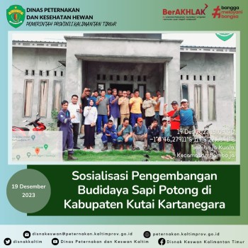  Sosialisasi Pengembangan Budidaya Sapi Potong di Kabupaten Kutai Kartanegara