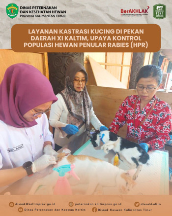 Layanan Kastrasi Kucing di Pekan Daerah XI Kaltim, Upaya Kontrol Populasi Hewan Penular Rabies (HPR)
