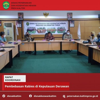 Rapat Koordinasi Rencana Pembebasan Rabies di Kepulauan Derawan
