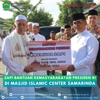 Sapi Bantuan Kemasyarakatan Presiden RI di Masjid Islamic Center Samarinda