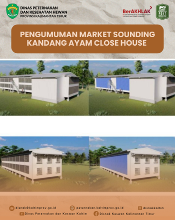 Pengumuman Market Sounding Kandang Ayam Close House