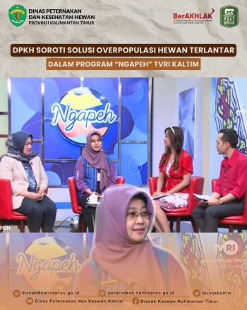 DPKH Soroti Solusi Overpopulasi Hewan Terlantar Dalam Program 